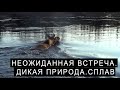 НЕОЖИДАННАЯ ВСТРЕЧА. ДИКАЯ ПРИРОДА. СПЛАВ.