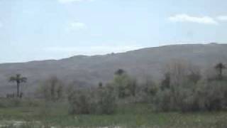 DSCF6788