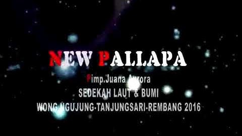 PENGADILAN CINTA versi terbaik - GERY MAHESA - NEW PALLAPA