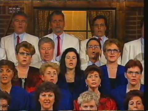 Lustige Musikanten - Finale / Frhlingsmedley (1995)