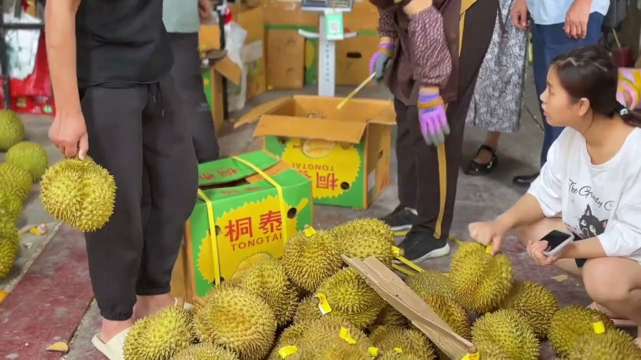 南宁海吉星市场榴莲大跳水，19 8元一斤，大姐现场拿秤对比！
