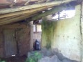 Casa de farinha (desativada)