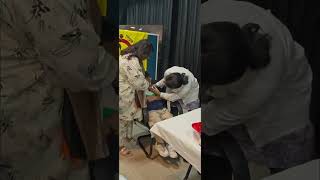 vaccinating to fight #love #80smusic #music #nuwaisir