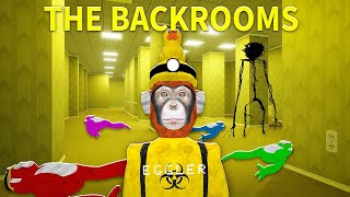 I Got TRAPPED In The BACKROOMS... (big scary)