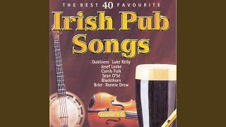 The Irish Rover