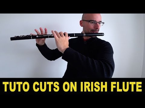 Flute irlandaise traversière en ébène accordée en ré