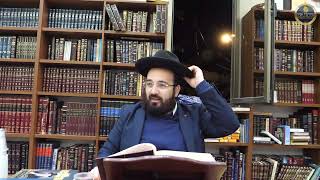 הרב מאיר כהן - חמץ ומצה