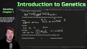 Introduction To Genetics | Genetics Ep. 1