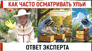 Як часто оглядати вулики? Відповідь експерта. Розширюємо разом.