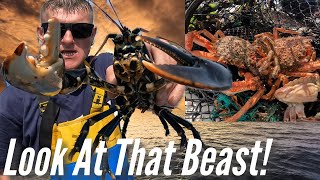 Catching BIG Lobsters & Giant Spider Crabs In My Traps! - Sea Fishing UK