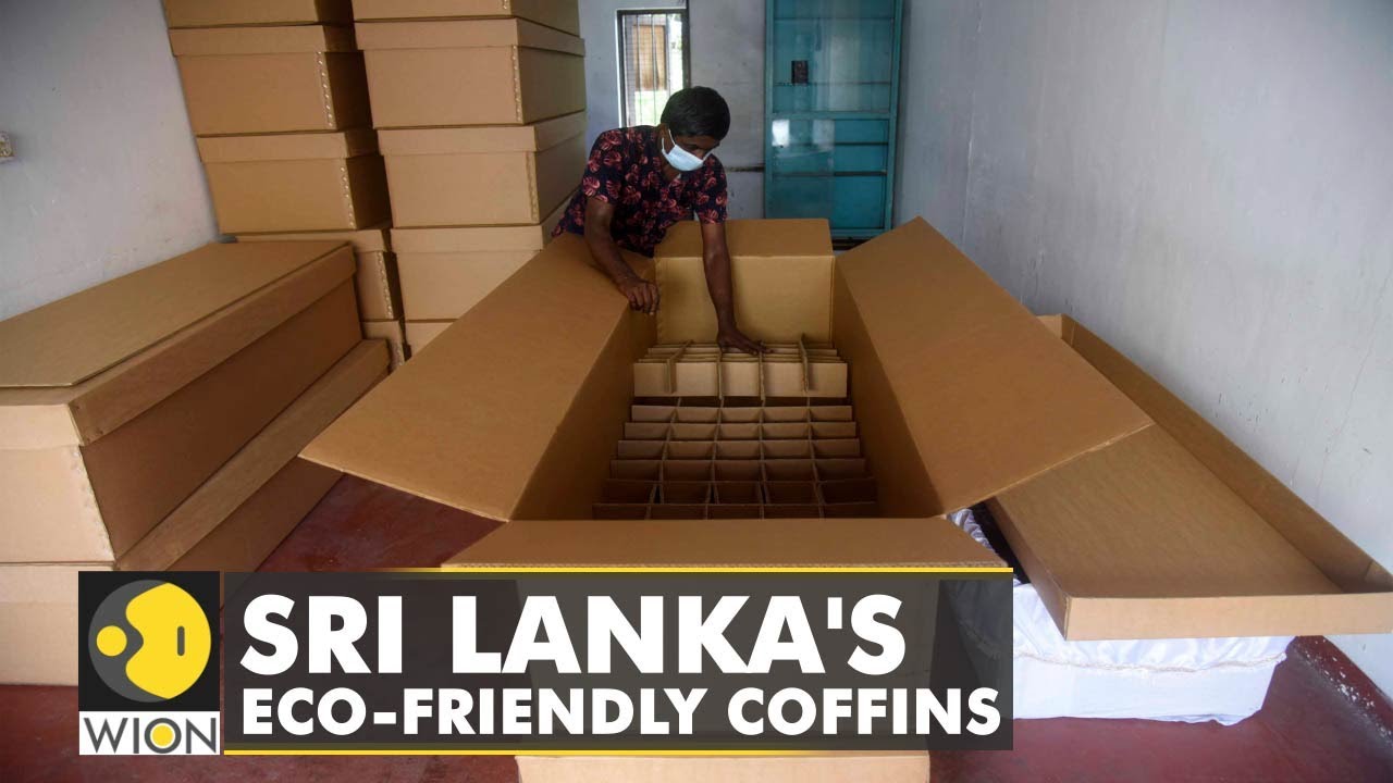Sri Lanka turns to affordable cardboard coffins Ecofriendly coffin