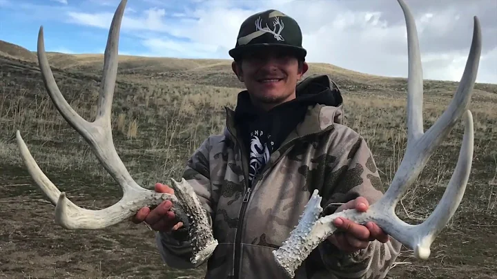 2018 Mule Deer Browns Brandon Pitcher part 3