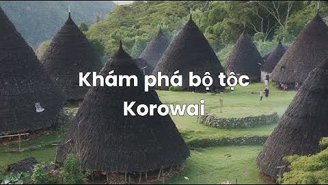 Bộ lạc Korowai – Những ngôi nhà trên cây và bí mật rừng Papua
