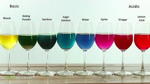 Red Cabbage Indicator Colors : Chemistry Experiment for Kids to do at Home