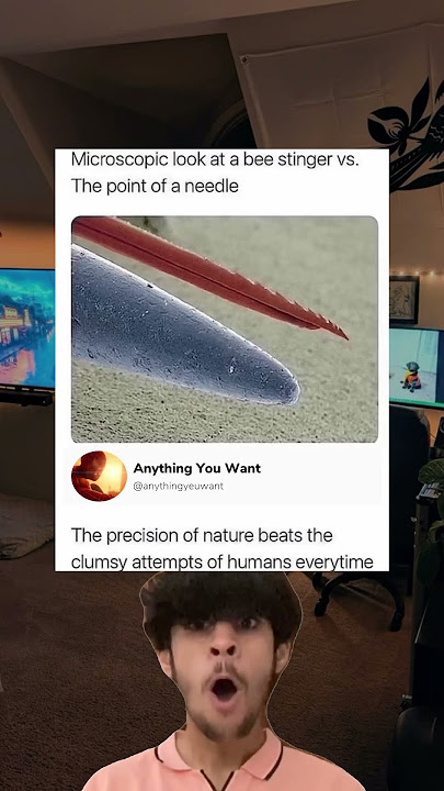The precision of nature
