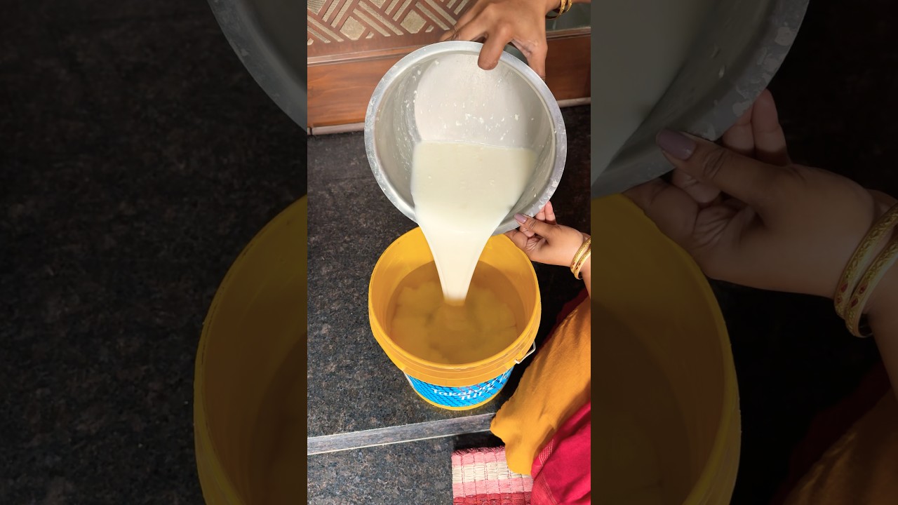 Feed your plants🪴buttermilk and you will be amazed by the results #garden #nature #organic #plants