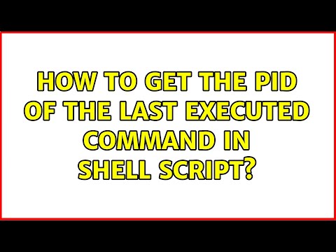 Unix & Linux: How to get the pid of the last executed command in shell script? (3 Solutions!!)