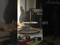 Forever Golden - Monty Norman and John Barry's James Bond 007 Theme Cover