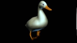 happy duck