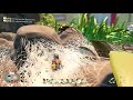 Grounded - FASTEST Spider Silk Farming*