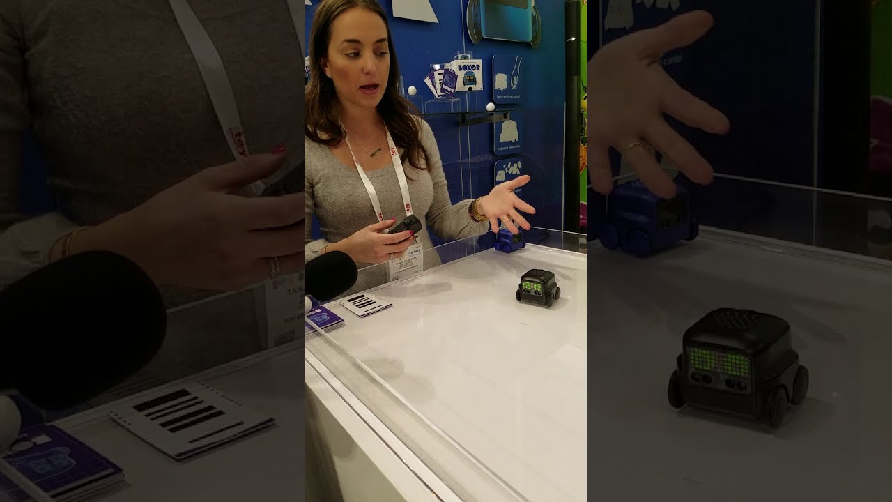 Toy Fair 2018: Spin Master - Boxer