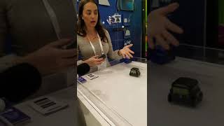 Toy Fair 2018: Spin Master - Boxer