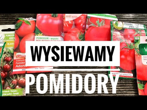 Wideo: Nightshade Miner - Miłośnik Pomidorów