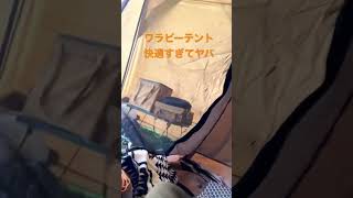 ワラビーテントでまったり