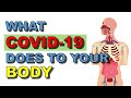 What does Covid-19 do to your body? | Covid destroy body, inflame lungs, attack cells