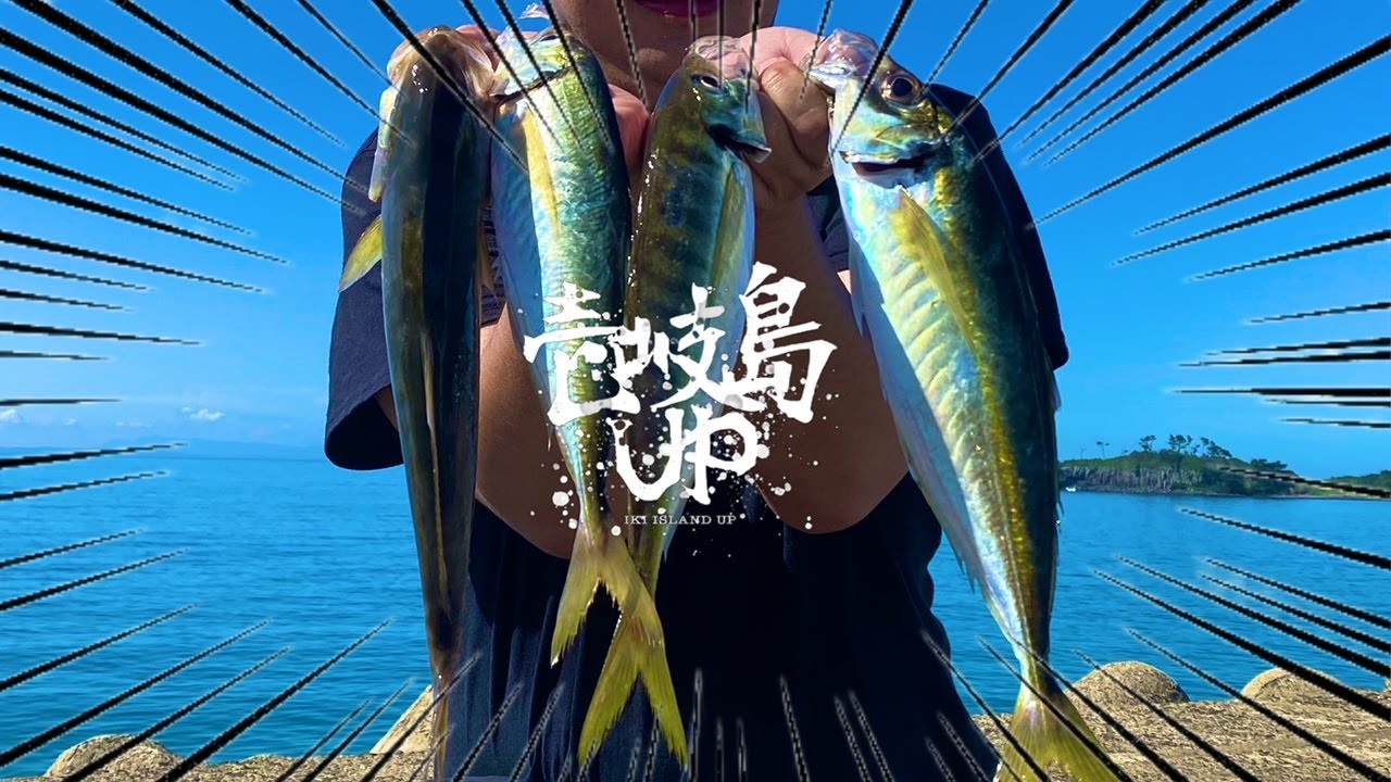 【壱岐島アジング】灼熱のデイゲーム、荒れ狂う魚達と戯れる
