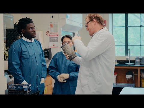 Why Study Civil & Environmental Engineering at MIT? | Course 1 Overview