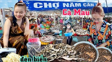 Về xứ rừng ngập mặn gặp gái xinh và nhiều đặc sản Chợ Năm Căn Cà Mau
