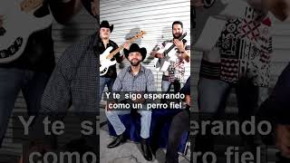 Grupo Todo Terreno - Este Amor #shorts #musicaregionalmexicana #grupotodoterreno