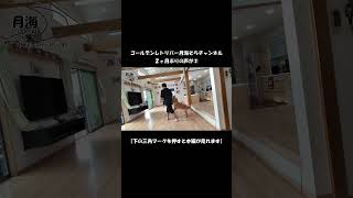 2ヶ月ぶり③【Golden Retriever japan】♯パピー #ゴールデンレトリバー #子犬