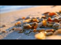 Kali Parfum Des Îles Kali Parfum Des Îles