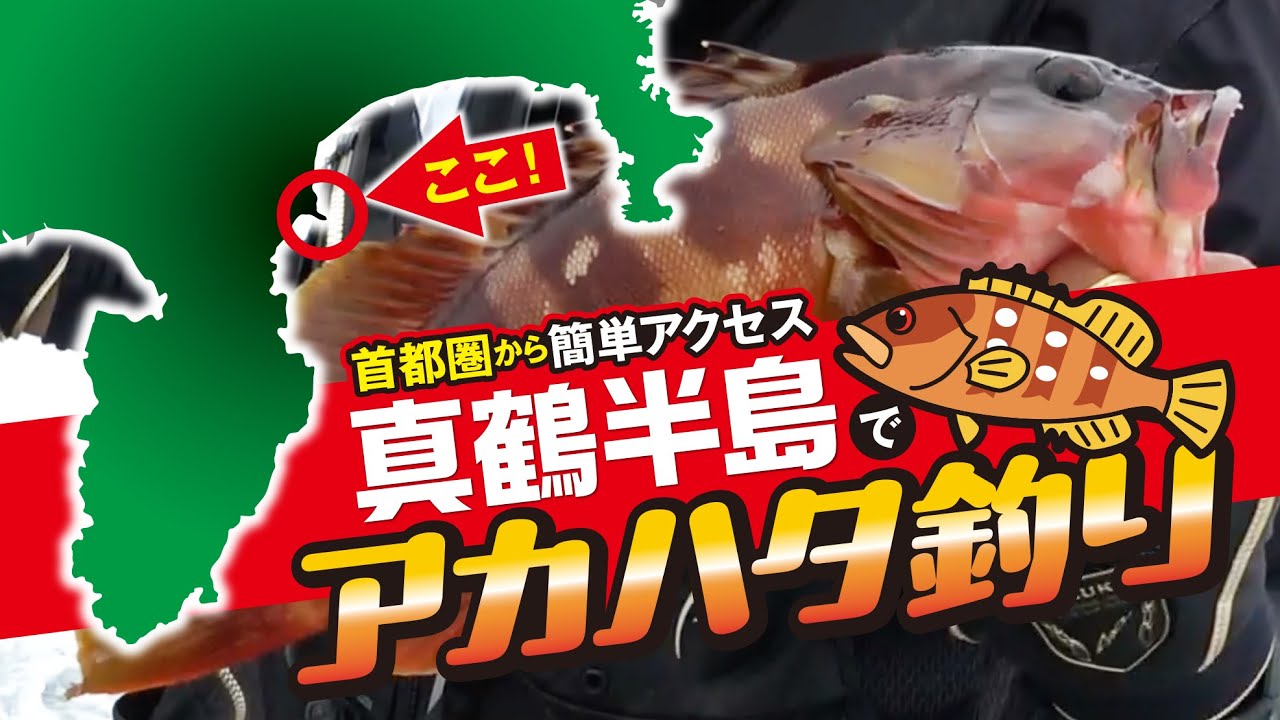 Red Snapper Fishing] Otter, Banbaura, Iron Bar, Mitsuishi Borota