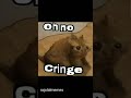كرنج الانترنت ميمز ضحك