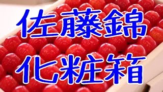 さくらんぼ販売。山形佐藤錦化粧箱500ｇは、お中元ギフト果物でも人気上位！Sato Nishiki Japanese cherry