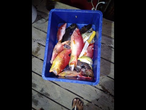 mancing-mania-sunset-fishing-trip-maldives-11-feb-2018