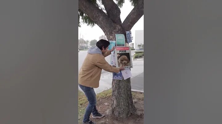 I Rescued An Abandoned Dog