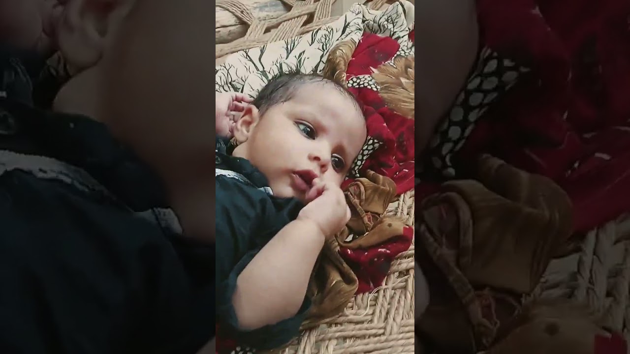 chuti pyari si lallee