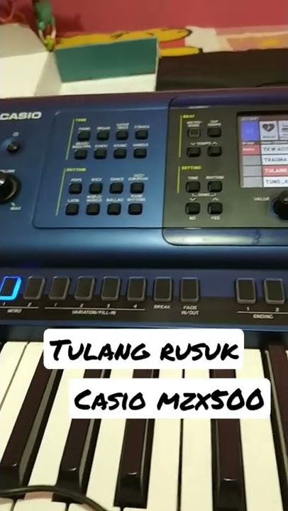 Dangdut tulang rusuk sampling mzx500