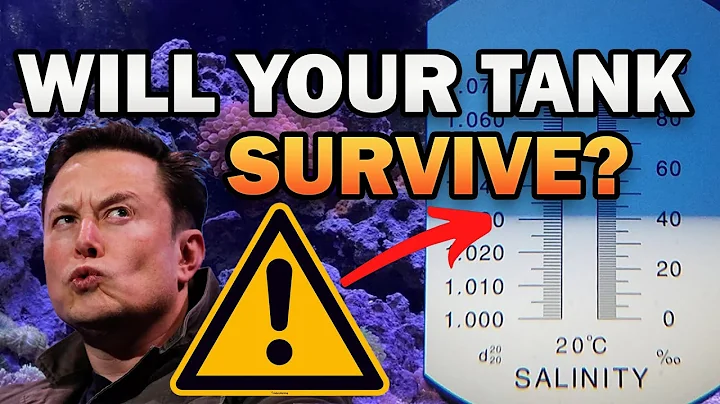 Can Your Tank Survive At 1.035 Salinity?
