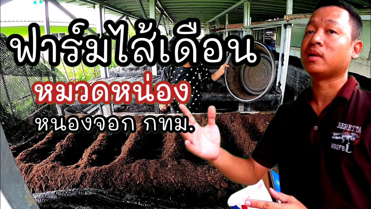 พาชม ฟาร์มไส้เดือนเงินล้าน หมวดหน่อง EP.1 /Sukhum Style