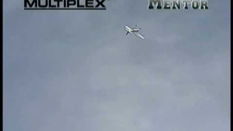 Mentor from Multiplex by www.ruberkon.com