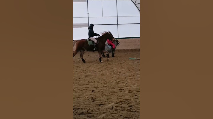 Давно от меня не было видео( #лошади #конныйспорт
