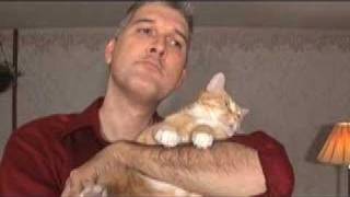 Funny Cat Yodeling