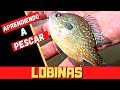 APRENDIENDO A PESCAR LOBINAS ,/,,/