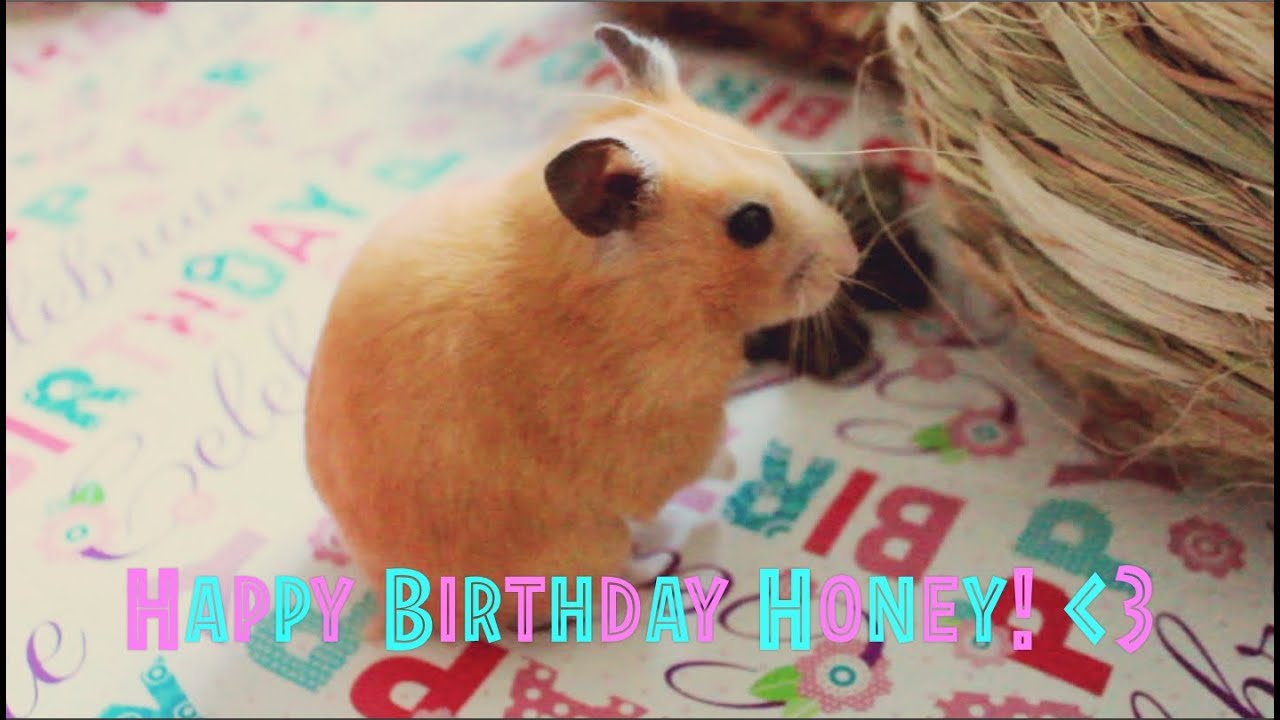  Happy Birthday Honey!