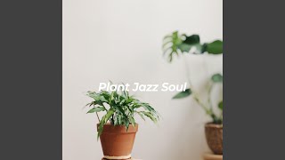 Artistic Ambience for Slow Devotion
